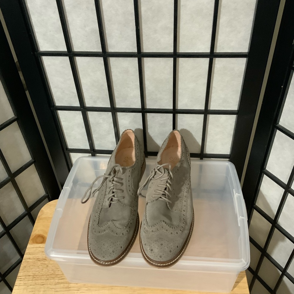 Seychelles Ambush (Taupe Suede) Women's Lace Up Casual Oxford Shoes.